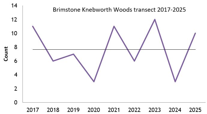 Brimstone Knebworth Woods transect abundance chart