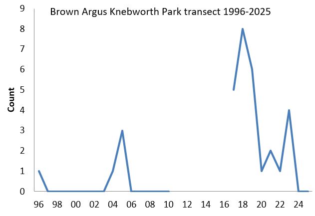 Brown Argus Knebworth Park transect abundance chart