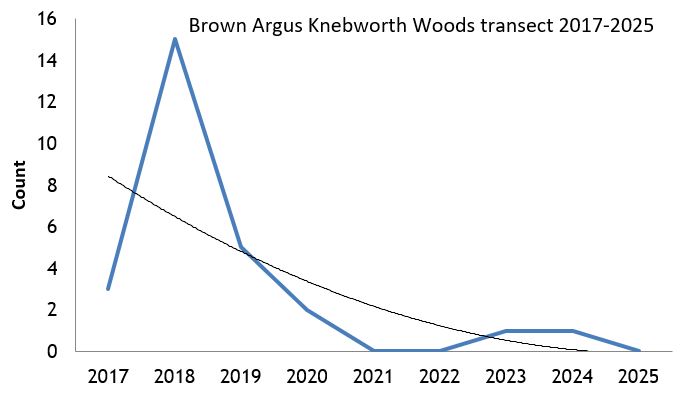 Brown Argus Knebworth Woods transect abundance chart