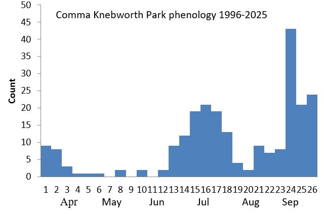 Comma Knebworth Park phenology chart