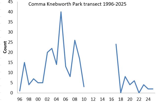Comma Knebworth Park transect abundance chart