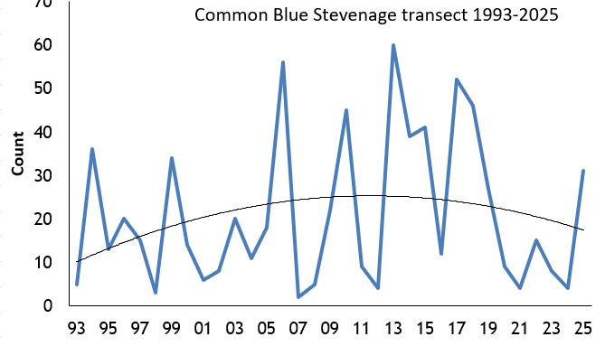 Common Blue Stevenage transect abundance chart