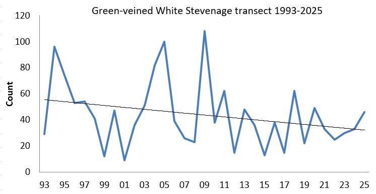 Green-veined White Stevenage transect abundance chart