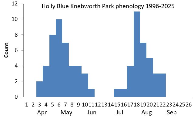Holly Blue Knebworth Park phenology chart