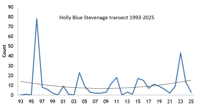 Holly Blue Stevenage transect abundance chart