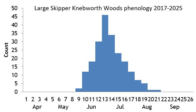 Large Skipper Knebworth Woods phenology chart
