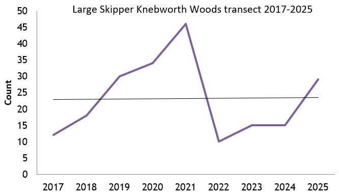 Large Skipper Knebworth Woods transect abundance chart