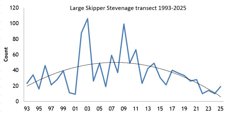 Large Skipper Stevenage transect abundance chart