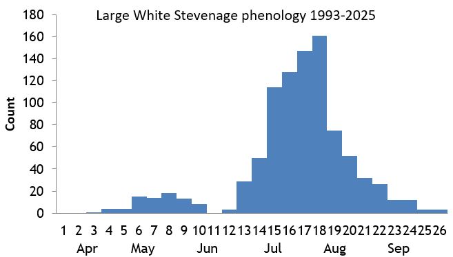 Large White Stevenage phenology chart