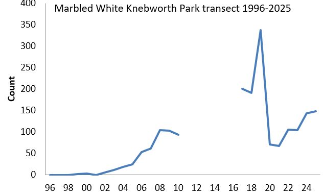 Marbled White Knebworth Park transect abundance chart Marbled White Knebworth Park transect abundance chart