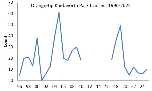 Orange-tip Knebworth Park transect abundance chart Orange-tip Knebworth Park transect abundance chart