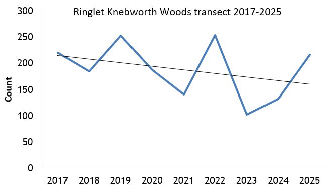 Ringlet Knebworth Woods transect abundance chart