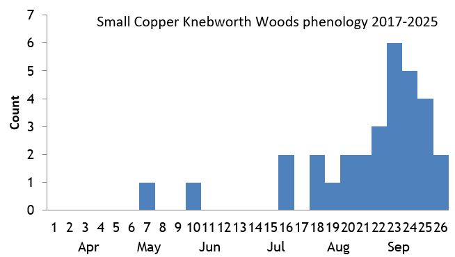 Small Copper Knebworth Woods phenology chart