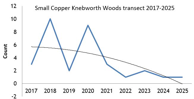 Small Copper Knebworth Woods transect abundance chart