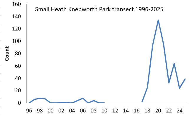 Small Heath Knebworth Park transect abundance chart