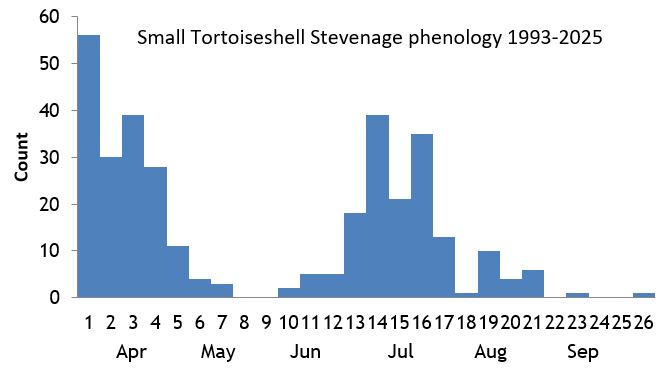 Small Tortoiseshell Stevenage phenology chart