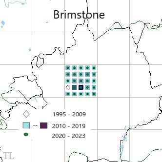 Brimstone TL22 distribution
